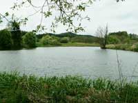 rybn�k Brod I.