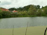 rybník Vlčkovice návesní