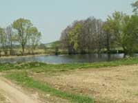 rybník Dražka