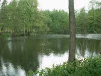 r. pod Drkolnou - pramen �slavy