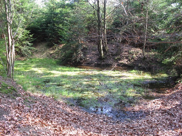 Příroda na Kolinecku