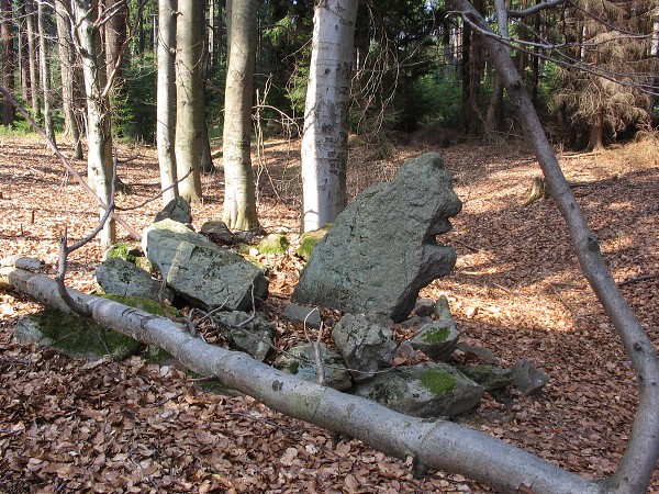 Příroda na Kolinecku