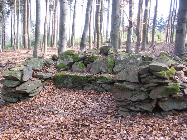 Příroda na Kolinecku