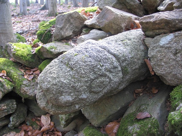 Příroda na Kolinecku