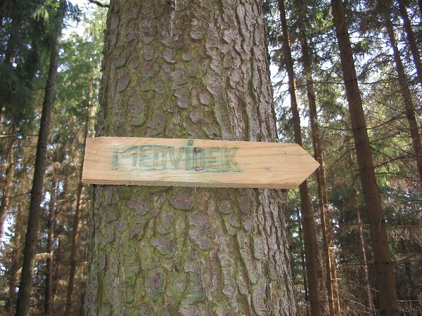 Příroda na Kolinecku