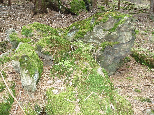 Příroda na Kolinecku