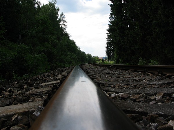 Příroda na Kolinecku