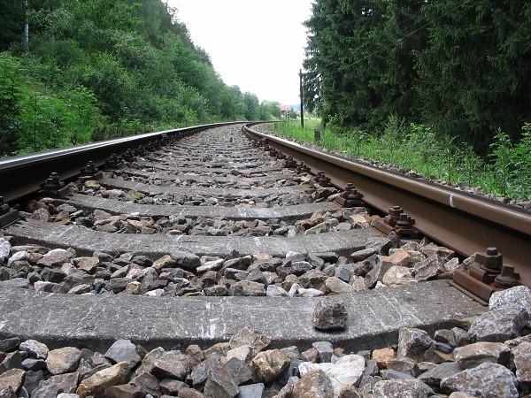 Příroda na Kolinecku