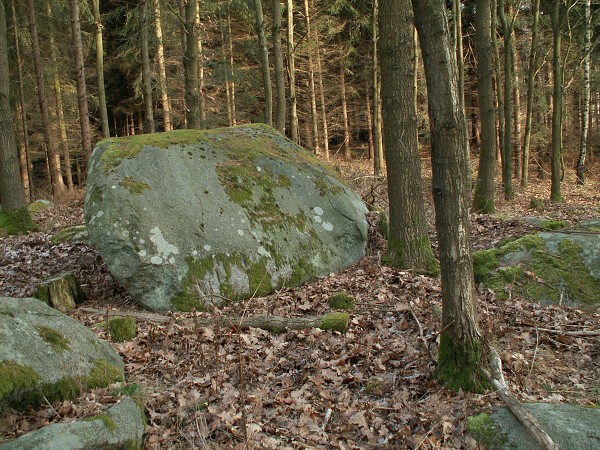 Příroda na Kolinecku