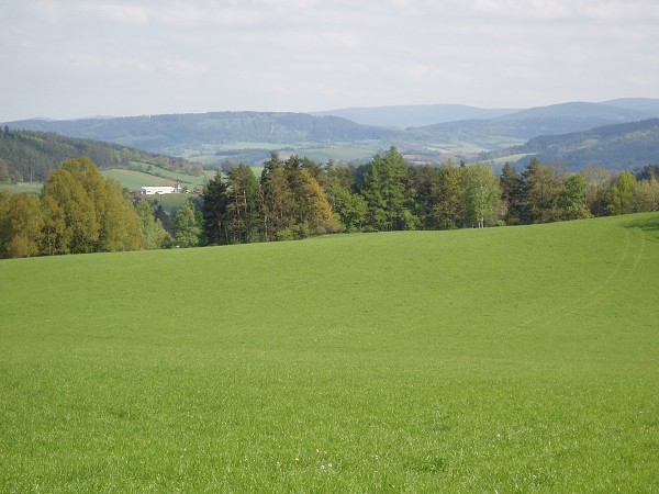 Příroda na Kolinecku