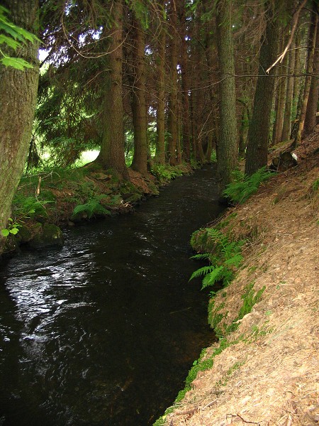 Příroda na Kolinecku