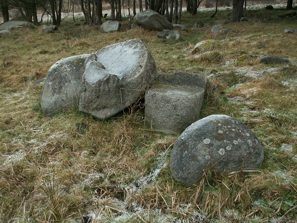 Příroda na Kolinecku