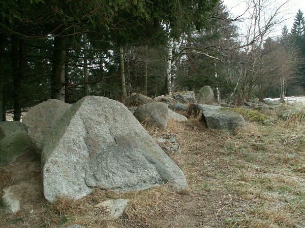 Příroda na Kolinecku