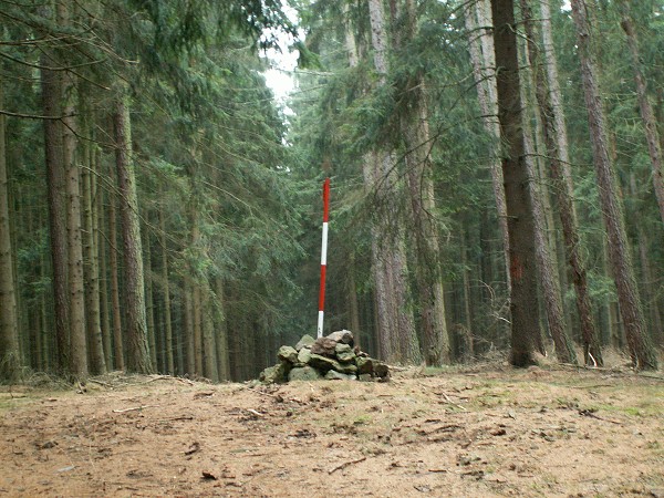 Příroda na Kolinecku