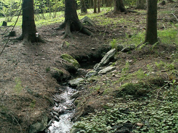 Příroda na Kolinecku
