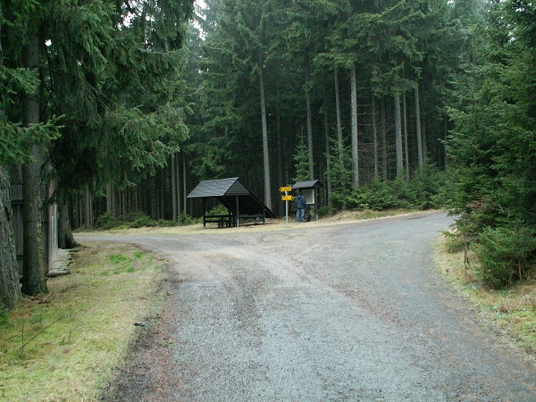 Příroda na Kolinecku