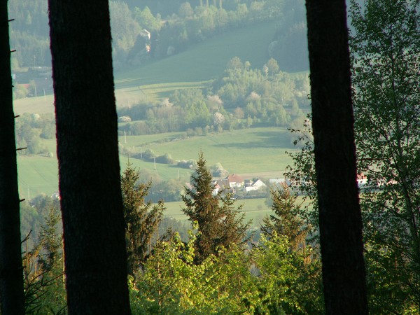 Příroda na Kolinecku