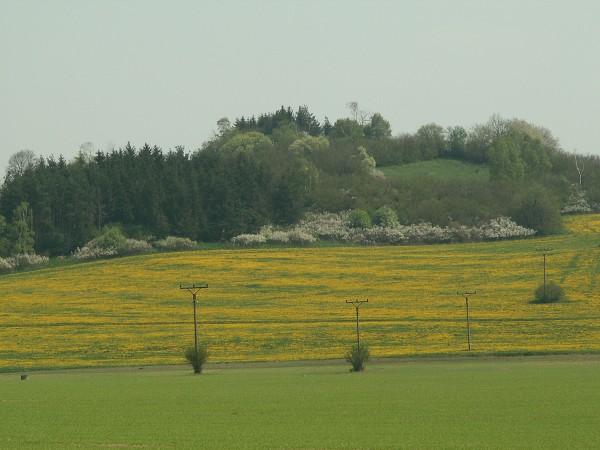 Příroda na Kolinecku