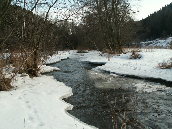 Příroda na Kolinecku