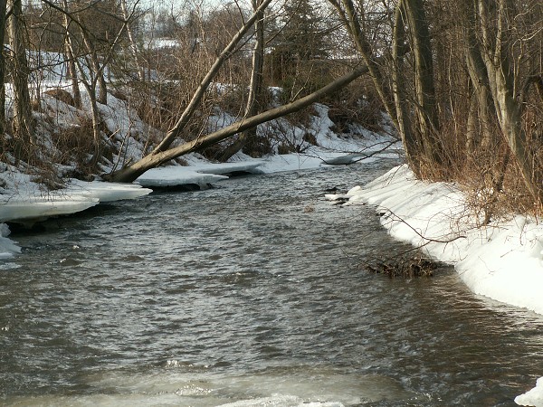 Příroda na Kolinecku