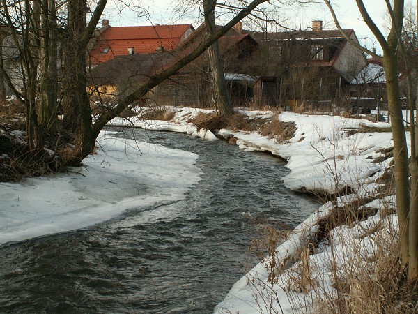 Příroda na Kolinecku