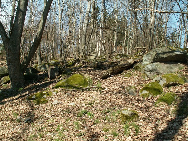 Příroda na Kolinecku