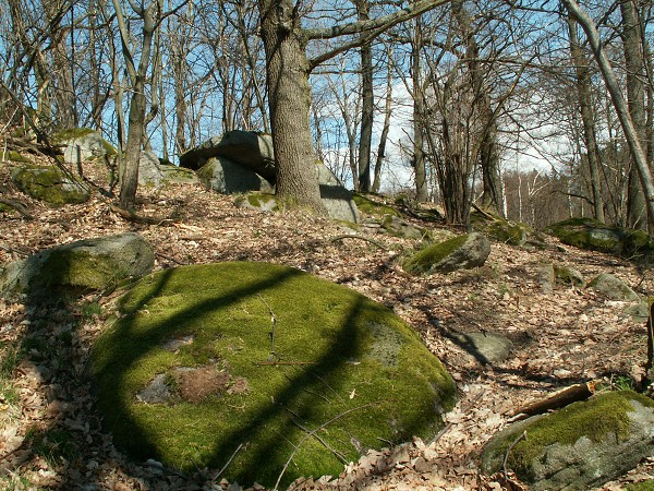 Příroda na Kolinecku