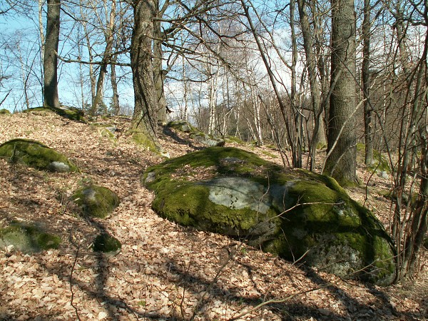 Příroda na Kolinecku