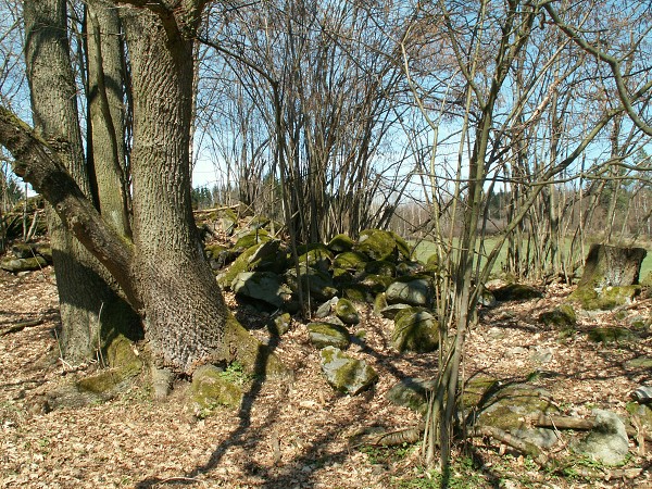 Příroda na Kolinecku