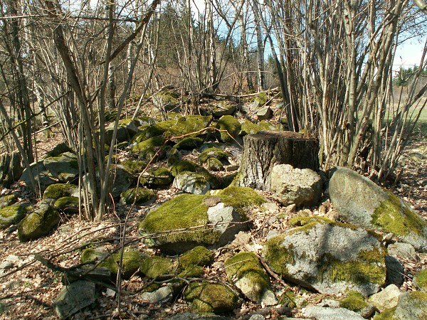 Příroda na Kolinecku