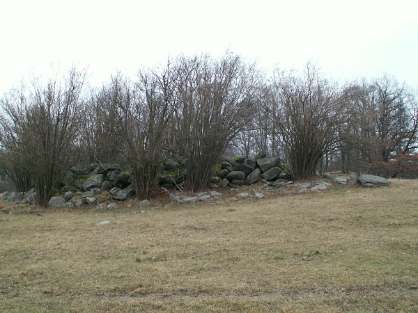 Příroda na Kolinecku