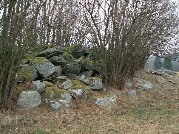 Příroda na Kolinecku