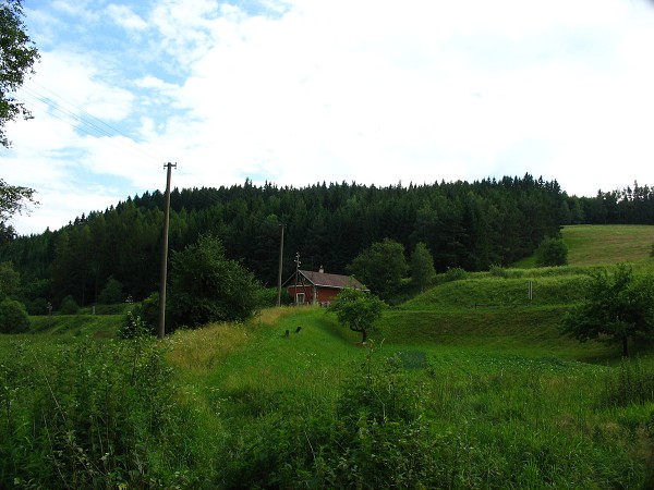 Příroda na Kolinecku