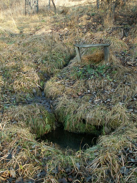 Příroda na Kolinecku