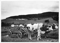 zemědělství Na Kopkách(1930)